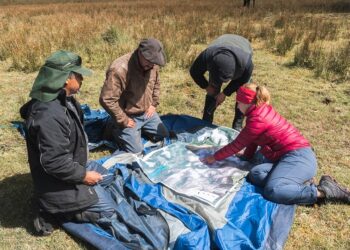 EQUIPO MUNICIPAL DE RÍO IBÁÑEZ REALIZA SALIDA A TERRENO EN EL MARCO DEL PROYECTO BIEN NACIONAL PROTEGIDO TORRES DEL AVELLANO
