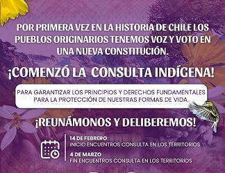 Consulta Indígena de la Convención Constitucional llegará a territorios con procesos de diálogo y deliberación