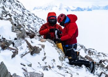 Con foco en ampliar el acceso a la información científica avanza proyecto Nodo Ciencia Austral
