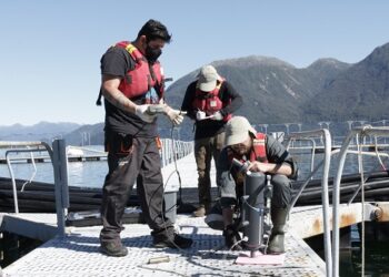 POSITIVOS RESULTADOS HA&nbsp; DADO EL PROGRAMA TERRITORIAL INTEGRADO FIORDOS Y CANALES DE AYSÉN DESDE SU CREACIÓN