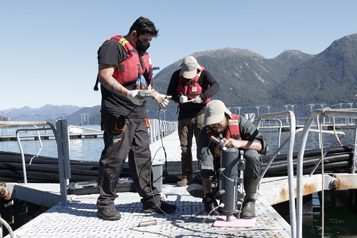 POSITIVOS RESULTADOS HA DADO EL PROGRAMA TERRITORIAL INTEGRADO FIORDOS Y CANALES DE AYSÉN DESDE SU CREACIÓN