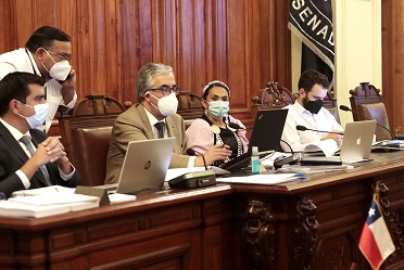 Comisión de Sistema Político aprueba Democracia Paritaria y Estado Plurinacional