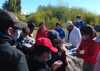 Proyecto UACh divulga y promueve la educación ambiental en el humedal de Puerto Guadal