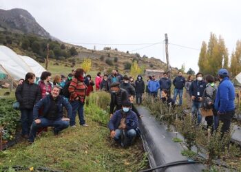 En la localidad de Murta, productores frutícolas y autoridades Se reúnen para dar cierre oficial del Programa de Frutales de INDAP Aysén