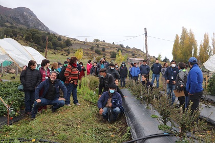 En la localidad de Murta, productores frutícolas y autoridades Se reúnen para dar cierre oficial del Programa de Frutales de INDAP Aysén