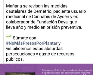 Cannabicultor lleva más de un año en prisión preventiva esperando juicio oral