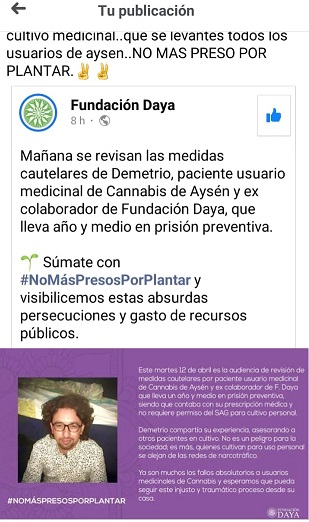Cannabicultor lleva más de un año en prisión preventiva esperando juicio oral