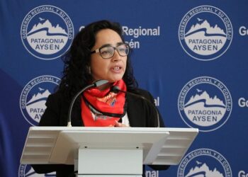 GORE, Delegación Regional y CONAF firman acuerdo para la entrega de leña 