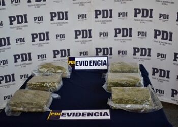 Diligencias conjuntas de PDI y Fiscalía permitieron incautar más de seis kilos de cannabis