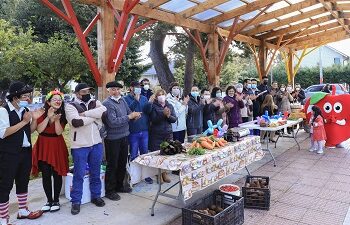 Con invitación a seguir prefiriendo frutas y hortalizas regionales culminó temporada de feria hortícola Prodesal Plaza Angol