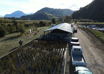 Empresa propició “taller de compostaje y vermicompostaje domiciliario” a organizaciones de Aysén