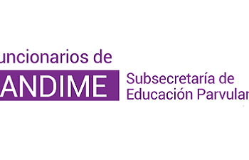 Funcionarios de la Subsecretaría de Educación Parvularia acusan que nuevo director de SLEP Aysén fue “juez y parte” en su nominación