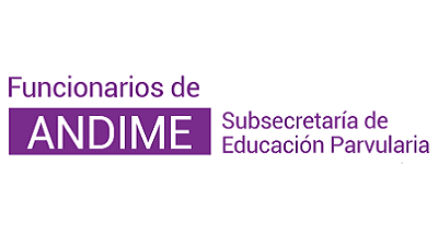 Funcionarios de la Subsecretaría de Educación Parvularia acusan que nuevo director de SLEP Aysén fue “juez y parte” en su nominación
