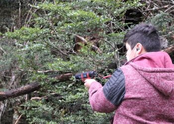 “Bioacústica en los bosques de Tortel”