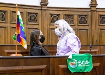 Convención consagra protección de bienes comunes naturales