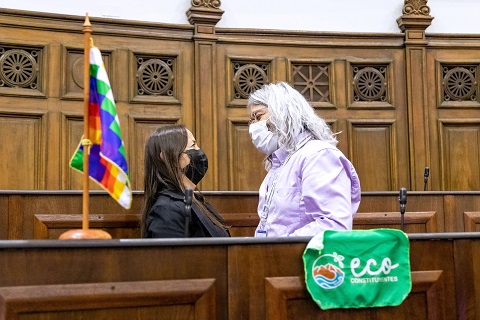 Convención consagra protección de bienes comunes naturales