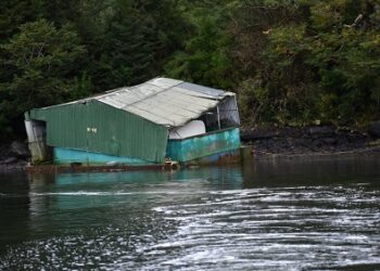 Sernapesca Aysén&nbsp;detecta 41 focos de residuos y&nbsp;notifica a 8 empresas acuícolas por contaminación de playas