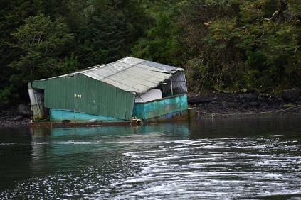 Sernapesca Aysén detecta 41 focos de residuos y notifica a 8 empresas acuícolas por contaminación de playas