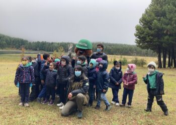 Reserva Nacional Coyhaique celebra su aniversario 74°con acceso gratuito
