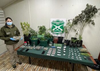 Puerto Aysén: OS-7 y Fiscalía detienen a 4 imputados por cultivo y microtráfico