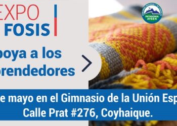 40 emprendimientos regionales ofrecen productos y servicios en feria Expo FOSIS previo al Día de la Madre