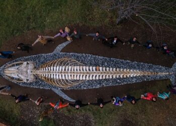 Proyecto Sei: La Viajera de los Mares arribó en la escuela de Puerto Río Tranquilo