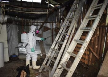Salud reitera llamado al autocuidado frente al Hantavirus