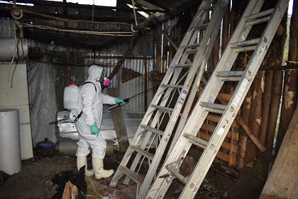 Salud reitera llamado al autocuidado frente al Hantavirus