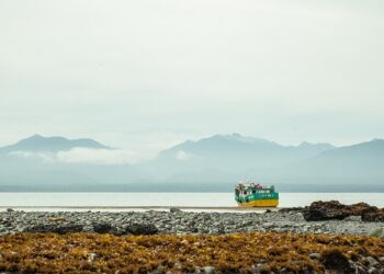 Micro documental recoge la voz de las comunidades que buscan proteger las Islas Desertores y costa de Chaitén