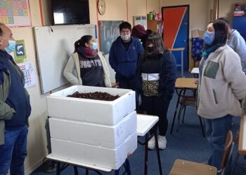 Estudiantes de escuela Despertar inician acciones en base al compostaje y Vermicompostaje