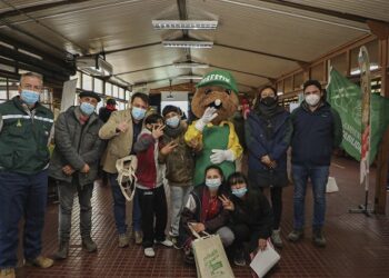 Conmemoran Día Mundial del Medioambiente con actividad centrada en educación ambiental