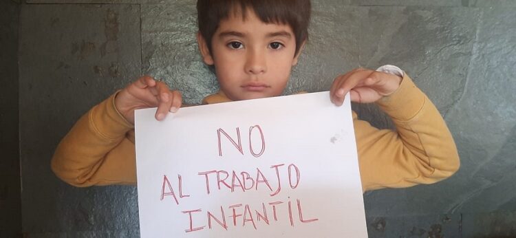 Dirección del Trabajo aplicó más de mil sanciones por trabajo infantil en los últimos cinco años