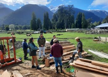 Investigación de INFOR busca generar valor agregado a cadena productiva maderera de Aysén&nbsp;