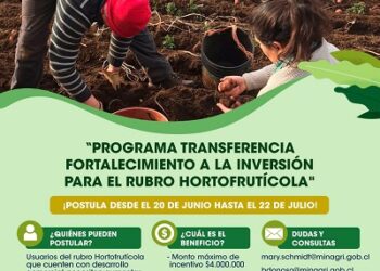 Invitan a&nbsp;&nbsp;agricultores hortofrutícolas a postular a programa de incentivo a la inversión&nbsp;&nbsp;