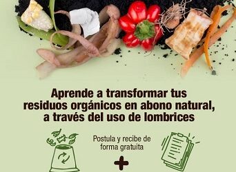 EL MUNICIPIO DE GUAITECAS ESTÁ APOYANDO UNA INICIATIVA DE COMPOSTAJE CON LOMBRICES QUE SE PRETENDE EJECUTAR EN LA COMUNA