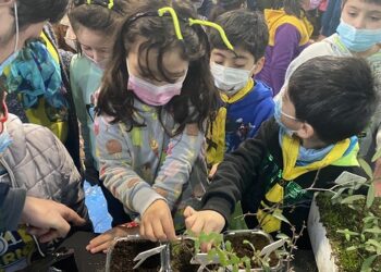 Con educación medio ambiental en diversos puntos de la región se celebró Día Mundial del Árbol