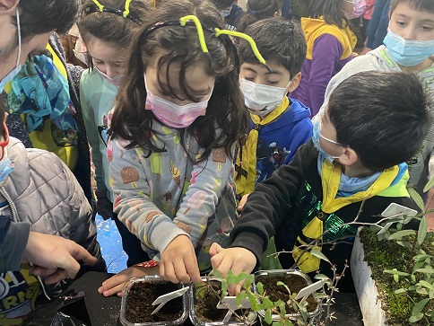Con educación medio ambiental en diversos puntos de la región se celebró Día Mundial del Árbol