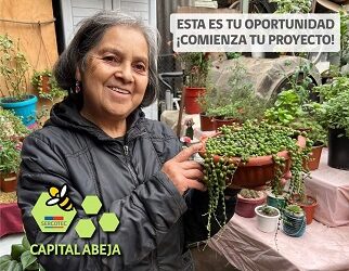 EL MUNICIPIO DE GUAITECAS APOYÓ TÉCNICAMENTE A 20 EMPRENDEDORAS LOCALES EN SUS PROYECTOS PRESENTADOS AL CAPITAL ABEJA, DE SERCOTEC&nbsp;