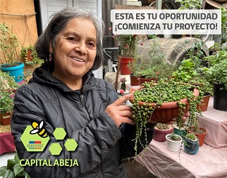 EL MUNICIPIO DE GUAITECAS APOYÓ TÉCNICAMENTE A 20 EMPRENDEDORAS LOCALES EN SUS PROYECTOS PRESENTADOS AL CAPITAL ABEJA, DE SERCOTEC