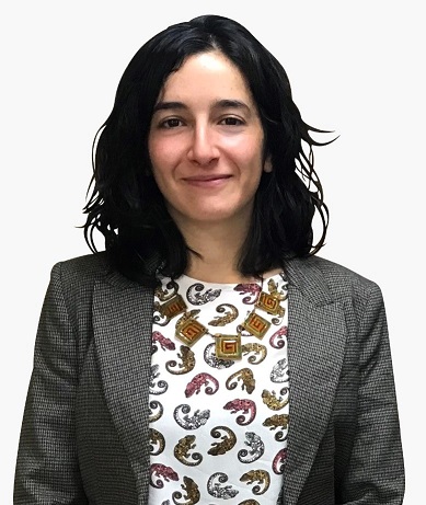 Columna: Desafíos del traspaso a los Servicios Locales de Educación Pública (o del retorno de las Escuelas al Ministerio de Educación)