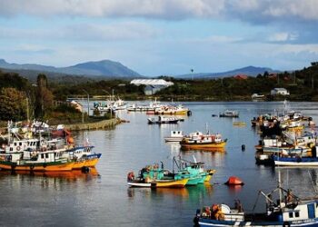 Alcande Silva valoró el anuncio del Presidente Boric de construir una nueva caleta de pescadores en Melinka.