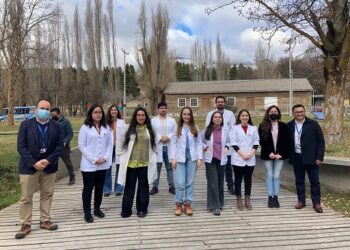 Siete Médicos y una Odontóloga reforzarán el trabajo de la Red de Salud en localidades desde Melinka a Villa O’Higgins
