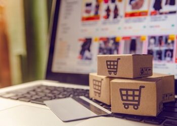 PYMES de la Región de Aysén podrán acceder a capacitaciones gratuitas para digitalizar sus negocios