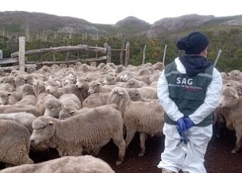 “Enfoque De Una Salud Para La Protección Del Medio Ambiente Y El Control De Enfermedades”