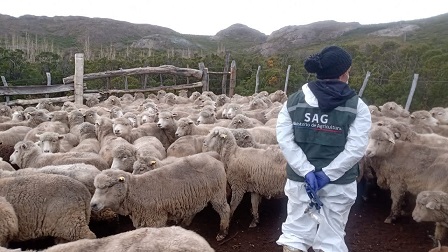 “Enfoque De Una Salud Para La Protección Del Medio Ambiente Y El Control De Enfermedades”