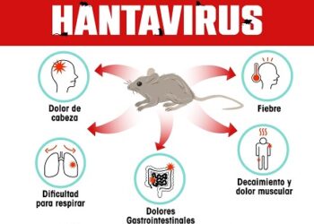Seremi de Salud inicia investigación epidemiológica por caso sospechoso de Hantavirus