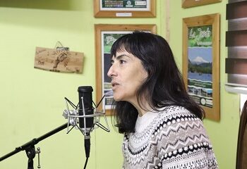 Ante escasez nacional de pellets: Gobierno reitera llamado a la calma y pide no acaparar.