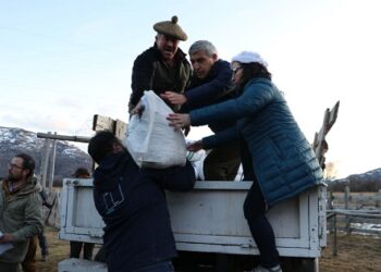 Ministerio de Agricultura entrega 13.500 kilos de alimento concentrado en Aysén&nbsp;