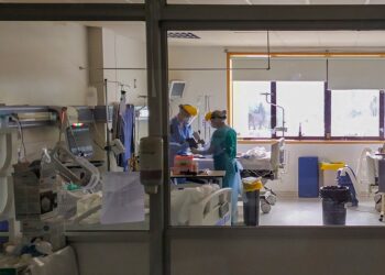 ¿Eres donante de órganos? Una conversación familiar necesaria