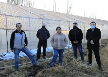 Seremi de Agricultura realizó visita a productores/ y programas emblemáticos en Chile Chico&nbsp;